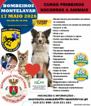 Curso Primeiros Socorros a Animais-Bombeiros Volunt&aacute;rios de Montelavar